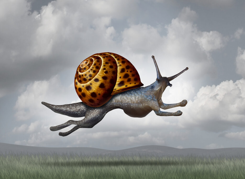 Eine fliegende Schnecke mit vier Pfoten.