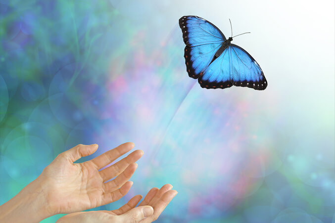 Zwei Hände lassen einen blauen Schmetterling in die Freiheit fliegen